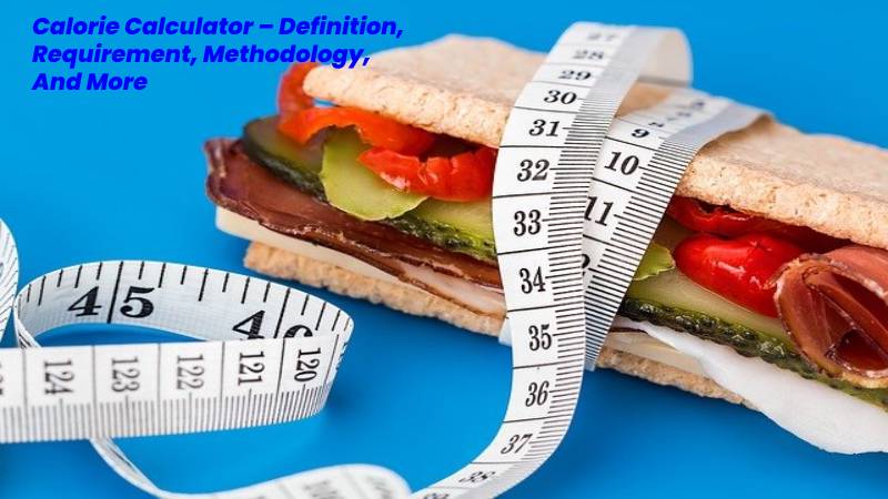 calories calculator