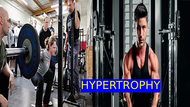 Hypertrophy