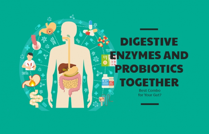 Benefits of Taking a Probiotic Multi Enzyme