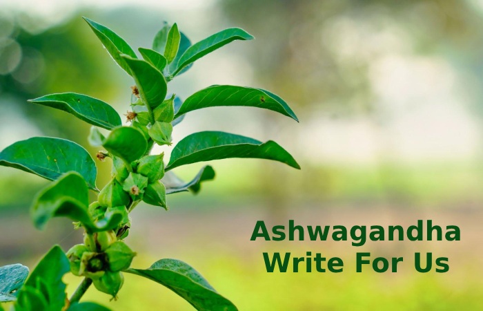 Ashwagandha Write For Us