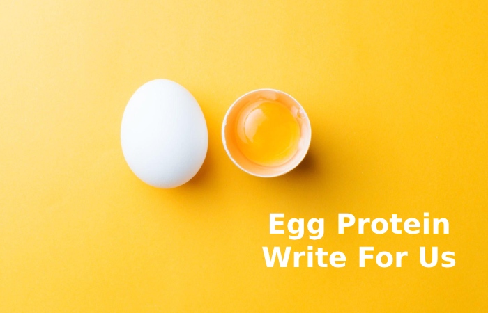 Egg Protein Write For Us