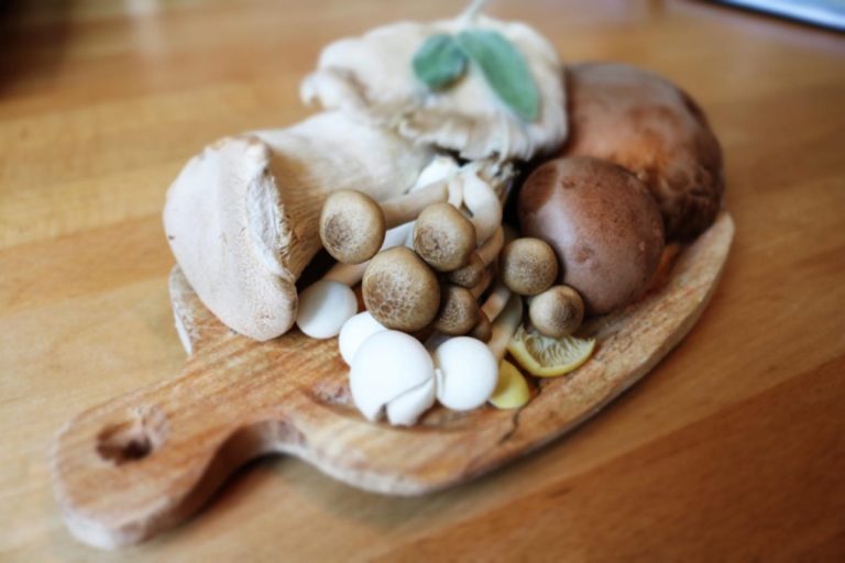 The Magical World of Medicinal Mushrooms