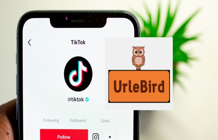 How does Urlebird have access to TikTok accounts_