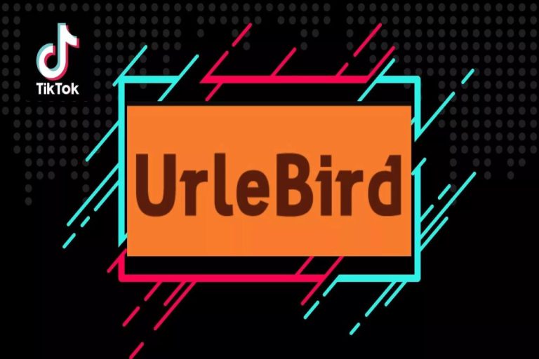 Urlebird - Best Tiktok Online Viewer Andriod App