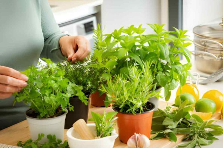 Wellhealthorganic Home Remedies Tag